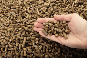 Human hand holding solid wooden pellets