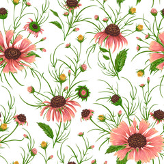 Panele Szklane Podświetlane  Wzór z kwiatami rumianku. Rustykalne tło kwiatowy. Vintage wektor ilustracja botaniczna w stylu przypominającym akwarele.