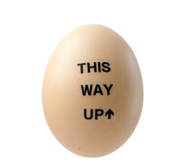 concept Egg with a message