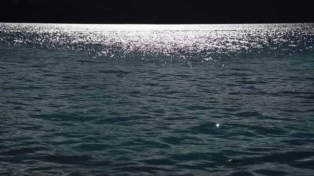 コロール島の逆光の海