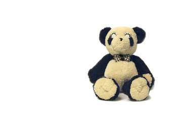 Teddy Bear  Isolated,against a white background special for gift. picture used design