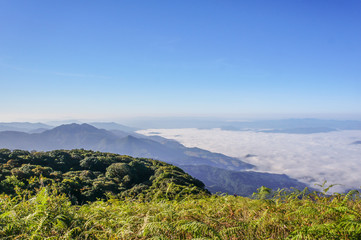 Blue sky at Inthanon mountain Northern Thailand