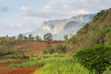 Kuba - Tabak Anbau in Vinales
