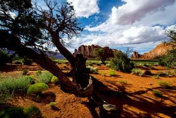 Abendsonne im Monument Valley mit weitem Blick in die Landschaft