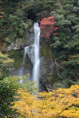 栴檀轟の滝 　熊本県