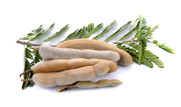 Tamarind isolated  on white background