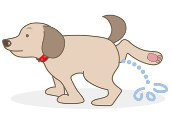 犬のおしっこ禁止