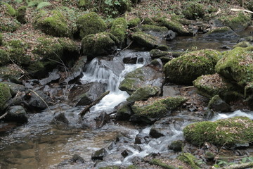 Idyllischer Bach im Hotzenwald im Herbst