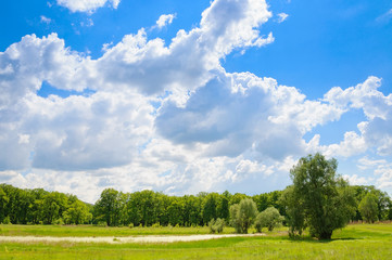 Summer landscape at sunny day.