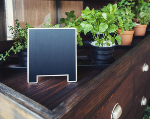 Mock up Menu Chalkboard stand with organic herb plants Home Gardening