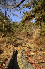 자연