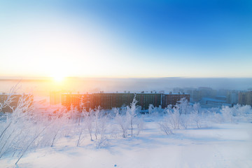 Winter dawn and the frosty fog.