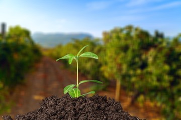 Grow.