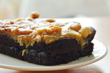 peanut butter caramel topping dark chocolate cake on dish