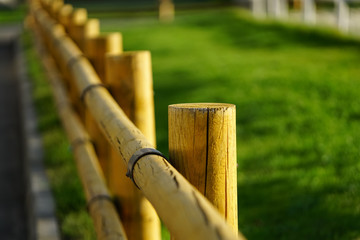 a wooden fence in nature