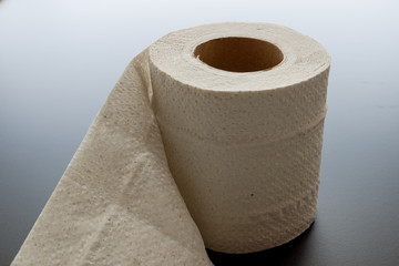 Toilet paper roll
