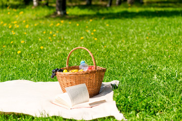 picnic basket with fruit on a plaid in the summer park