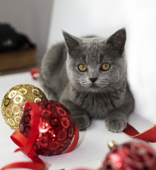 Cat playing with Christmas balls