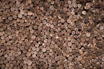 decorative cross section view  cutting wood