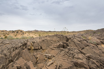 Steine in der Wüste Gobi - Mongolei