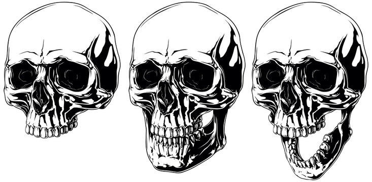 Naklejka Scary graphic human skull with black eyes set