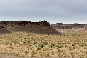 Die Wüste Gobi - Mongolei