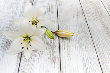 White  lilies on a wooden table