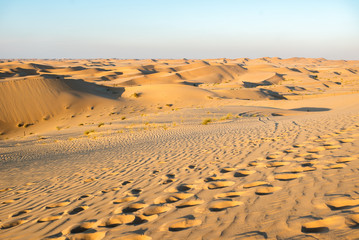 Fototapeta na wymiar sand dune, sand texture, desert sand dunes