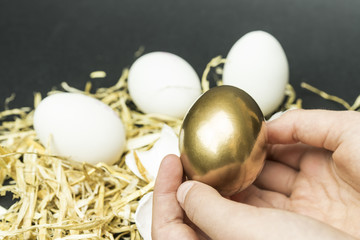golden egg and childrens hand