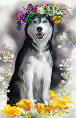 Husky watercolor painting