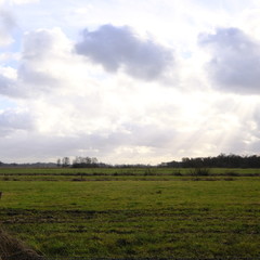 Niedersandhausen zur Winterjahreszeit