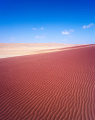 Namib Desert