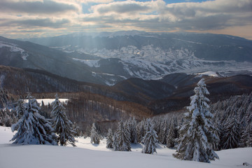 Winter in the Carpathian mountains