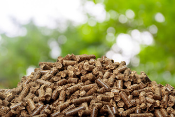 Wood pellets on a green background. Biofuels.