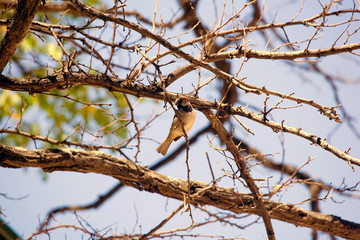 streets, monuments and old buildings of the town of Alcala de He