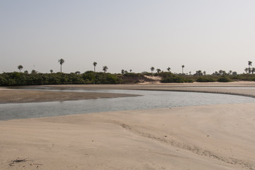 Playa paradisíaca de Gambia