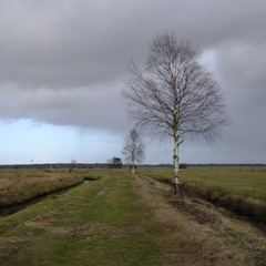 Niedersandhausen zur Winterjahreszeit