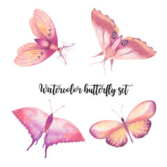 Watercolor butterfly set. Hand painted spring insect collection isolated on white background. Animal illustrations