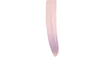 Root tip of Onion and Mitosis cell in the Root tip of Onion under a microscope.