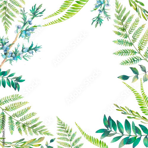 Watercolor Fl Frame Hand Drawn Spring Plants Card Design Hand Drawn Spring Plants Card Design Botanical Elements Isolated On White