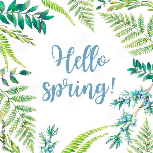 Hello Spring Watercolor Fl Frame Hand Drawn Plants Card Design Hello Spring Watercolor Fl Frame Hand Drawn Plants Card Design Botanical Elements Isolated