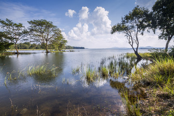 Fototapeta premium Minneriya reservoir, Sri Lanka