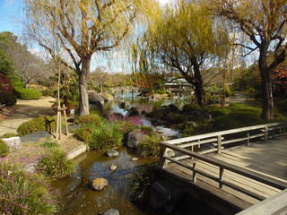 Japanese Garden at Sakai