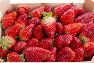strawberries