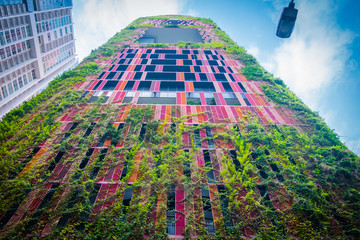 Skyscraper covered with creeper plants