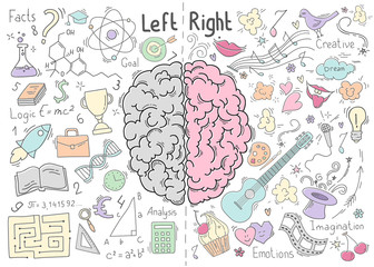 Concept of the human brain
