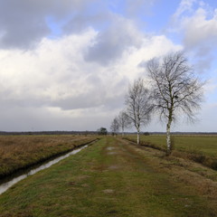 Obraz premium Niedersandhausen in der Winterjahreszeit