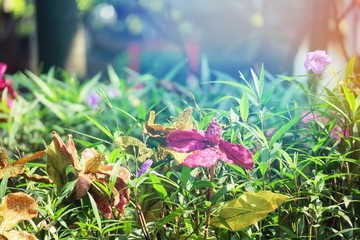 Beautiful plastic flowers decoration and nature garden blur background