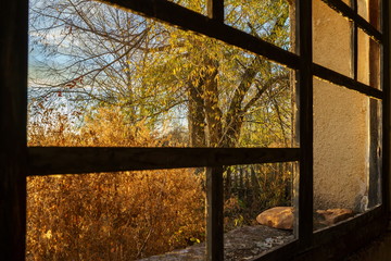 Window into the autumn.