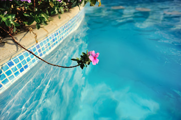 Fototapeta na wymiar Vocation time in hotel resort water pool